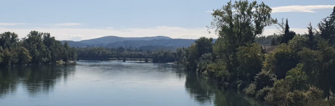 Über der Aare bei der Mündung in den Rhein