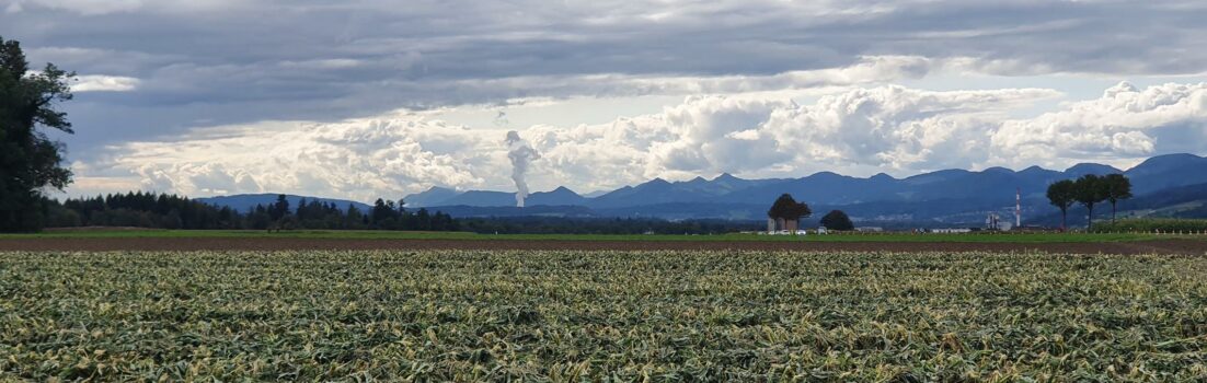 Stimmungsbild mit Blick zum Jura hinüber