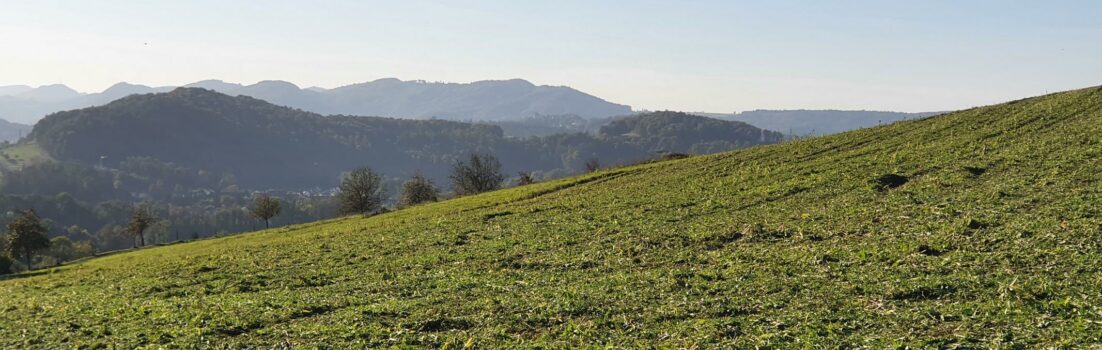 Blick in Richtung Jura