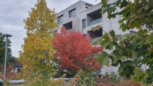 Der Herbst im Quartier