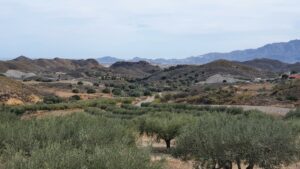 Blick nach Mojacar hinüber
