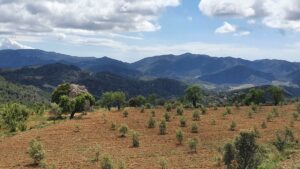 Blick zum Coll d'Alforja