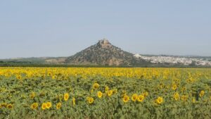 Unterwegs nach Cordoba