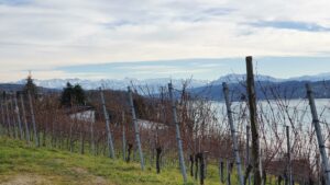 Hallwilersee mit Alpenkamm