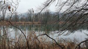 Der Aare entlang