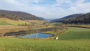 Blick von Ueberthal nach Remigen