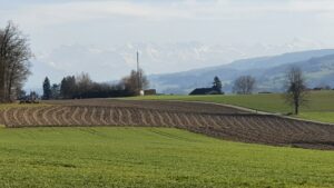 Am höchsten Punkt der heutigen Runde