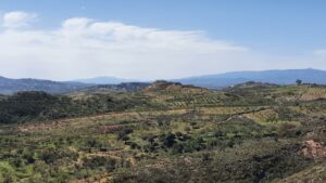 Blick zur Sierra Nevada