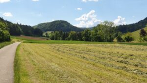 Nach Mönthal hinauf