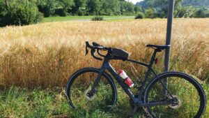 Getreidefeld kurz von Mönthal