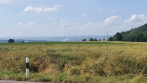 Auf der Ebene zwischen Würenlingen und Endingen