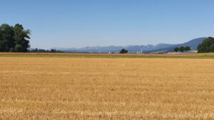 Blick über das Aaretal zum Jura hinüber