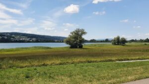 Greifensee auf dem Rückweg