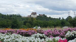 Schloss Wildegg