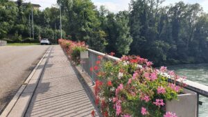 Blumenbrücke in Turgi