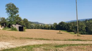 Blick das Surbtal hinauf