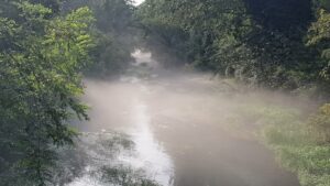 Nebenflüsschen nach dem Gewitter