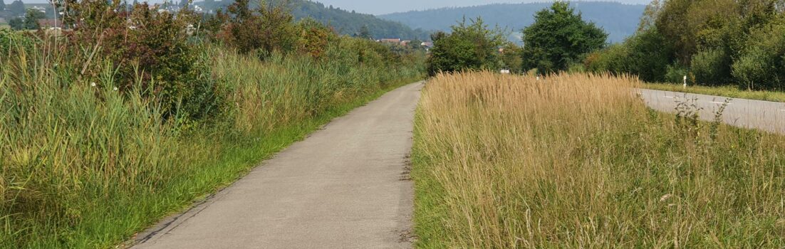 Furttal-Adlikon-Neeracherried-Rheintal-Aaretal