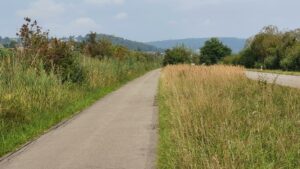 Dem Neeracherried entlang