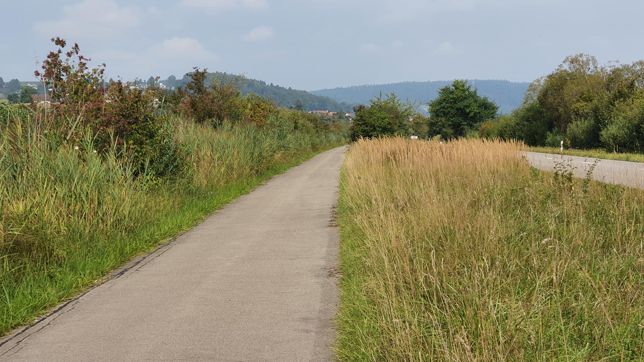 Woche vom 11.08.-17.08.2025: