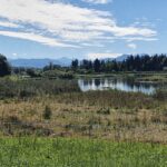 Reusstal-Bünztal-Aaretal Am Flachsee bei Bremgarten