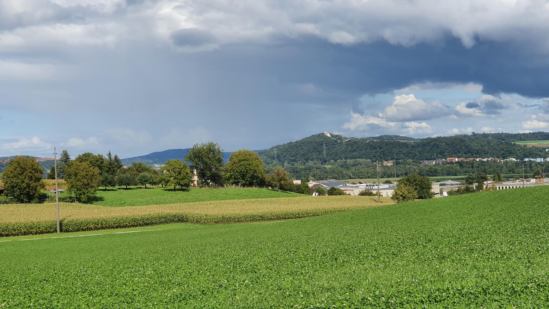 Woche vom 01.09.-07.09.2025