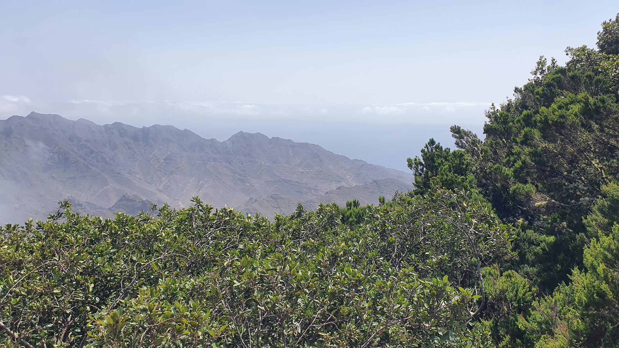 Kanaren-Inselhopping, Teneriffa, Santa Cruz de Tenerife-San Cristobal de la Laguna