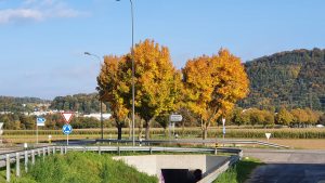 es wird langsam bunt