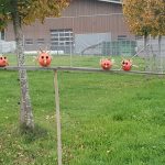 Reusstal-Bünztal-Aaretal Küribs (-vögel)