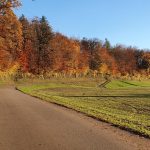 Aaretal hinauf und aussen herum zurück Herbstlicher Waldrand