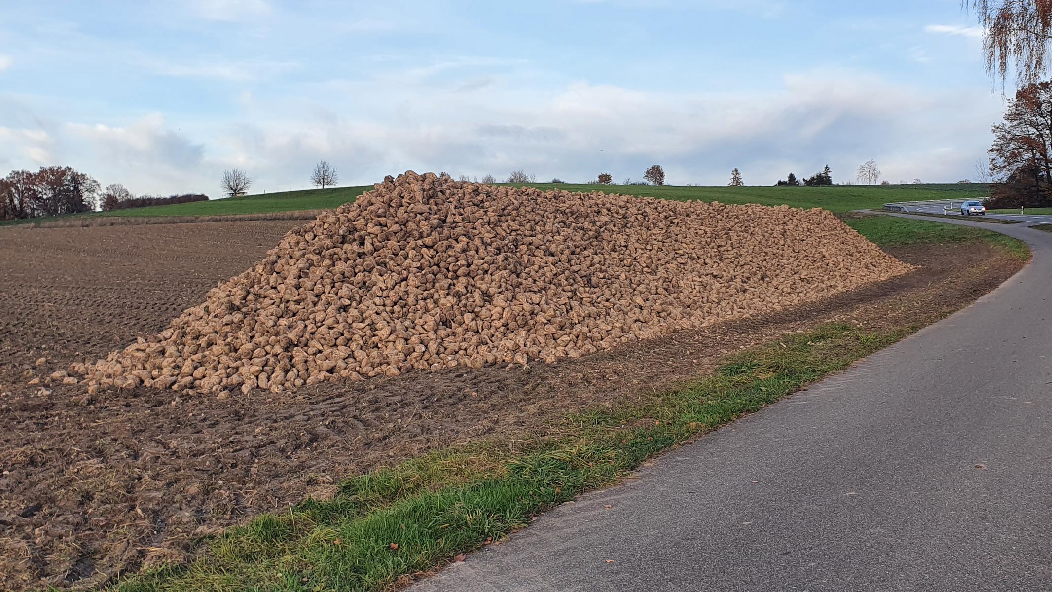 Zum Rhein und zurück