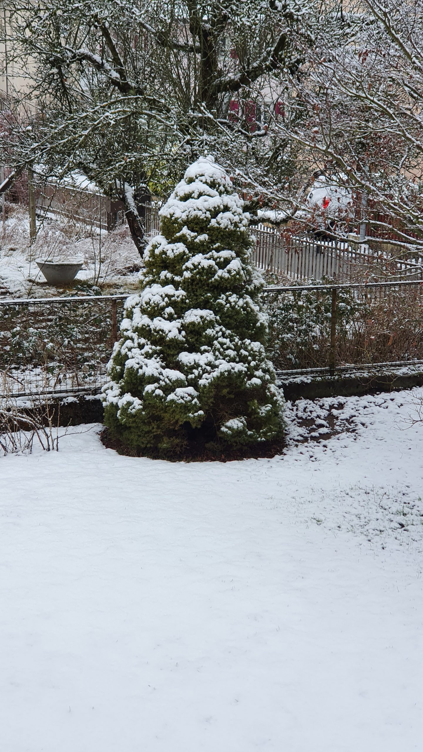 Woche vom 05.01.-11.01.2026