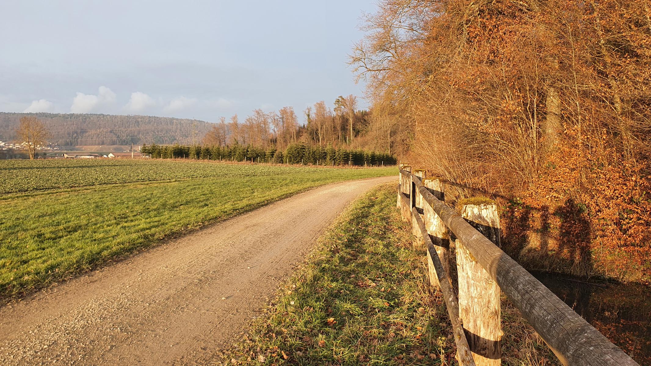 Woche vom 19.01.-25.01.2026