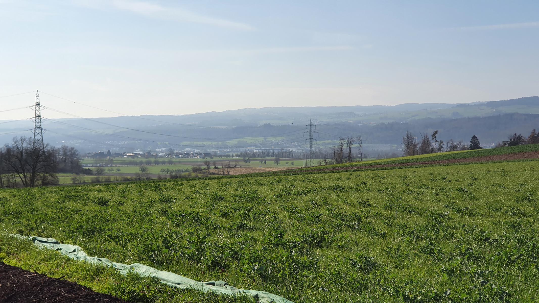 Aaretal-Rheintal-Mettauertal-Villigerfeld