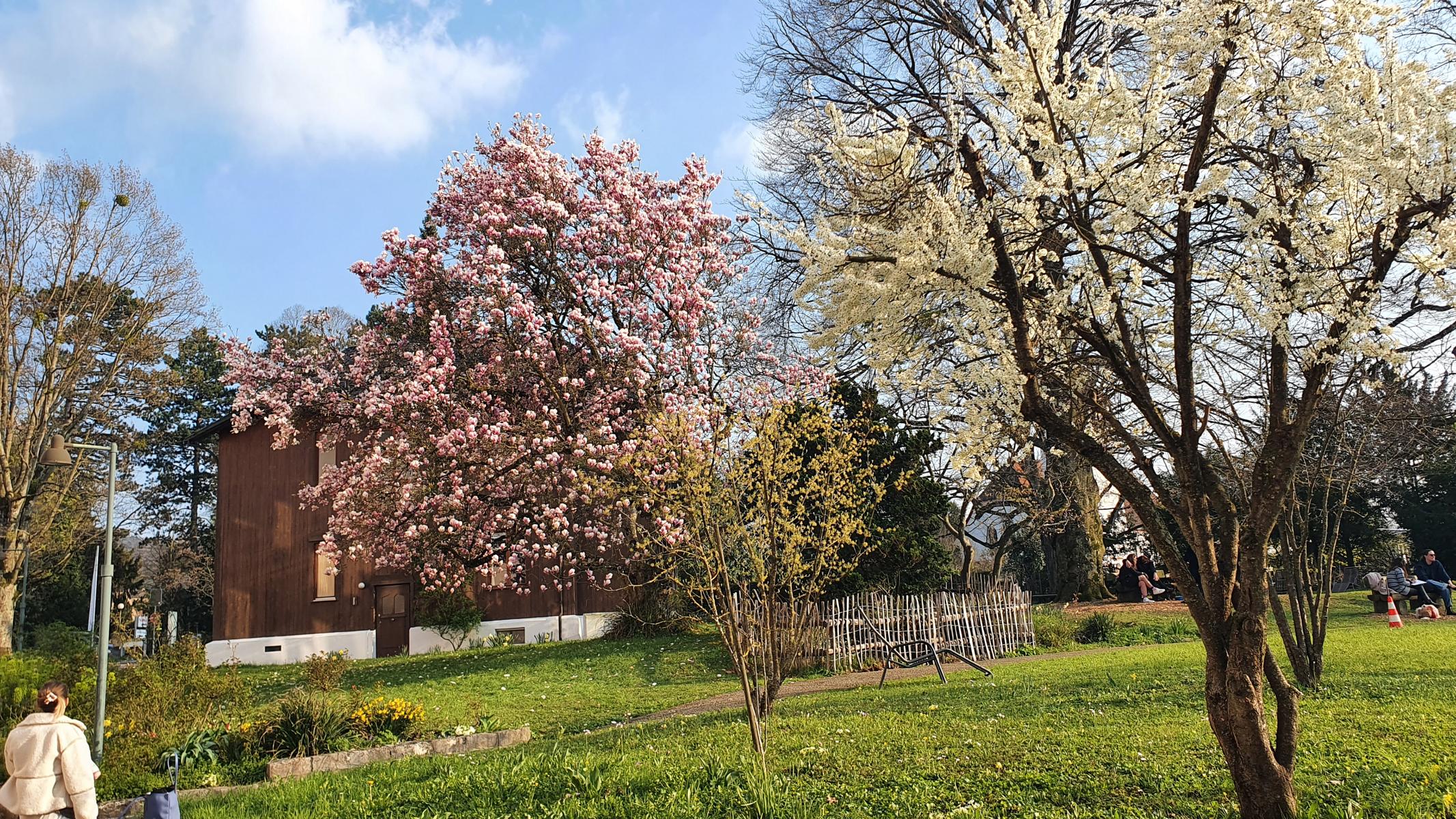 Woche vom 16.03.-22.03.2026