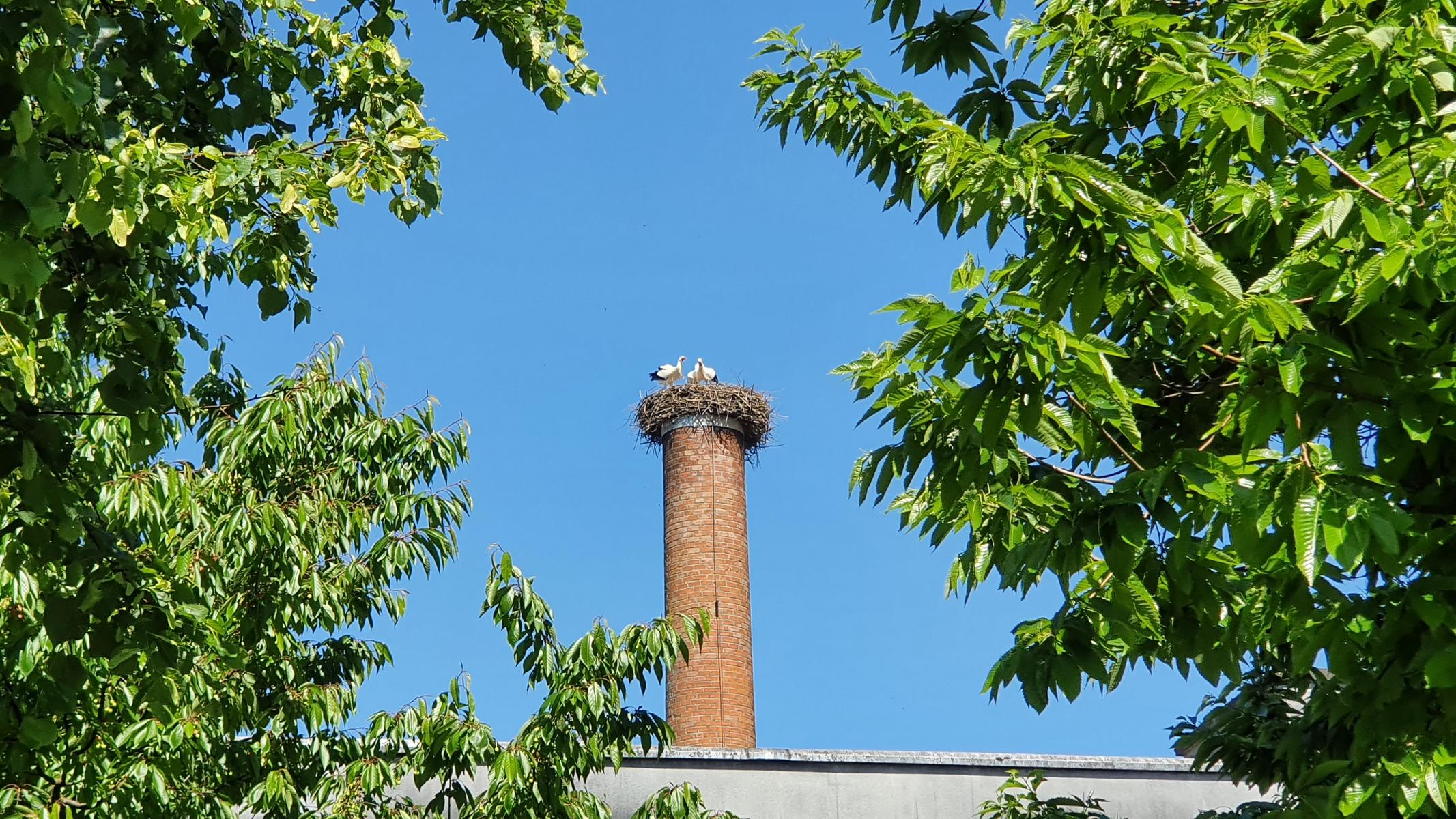 Reusstal-Bünztal-Aaretal