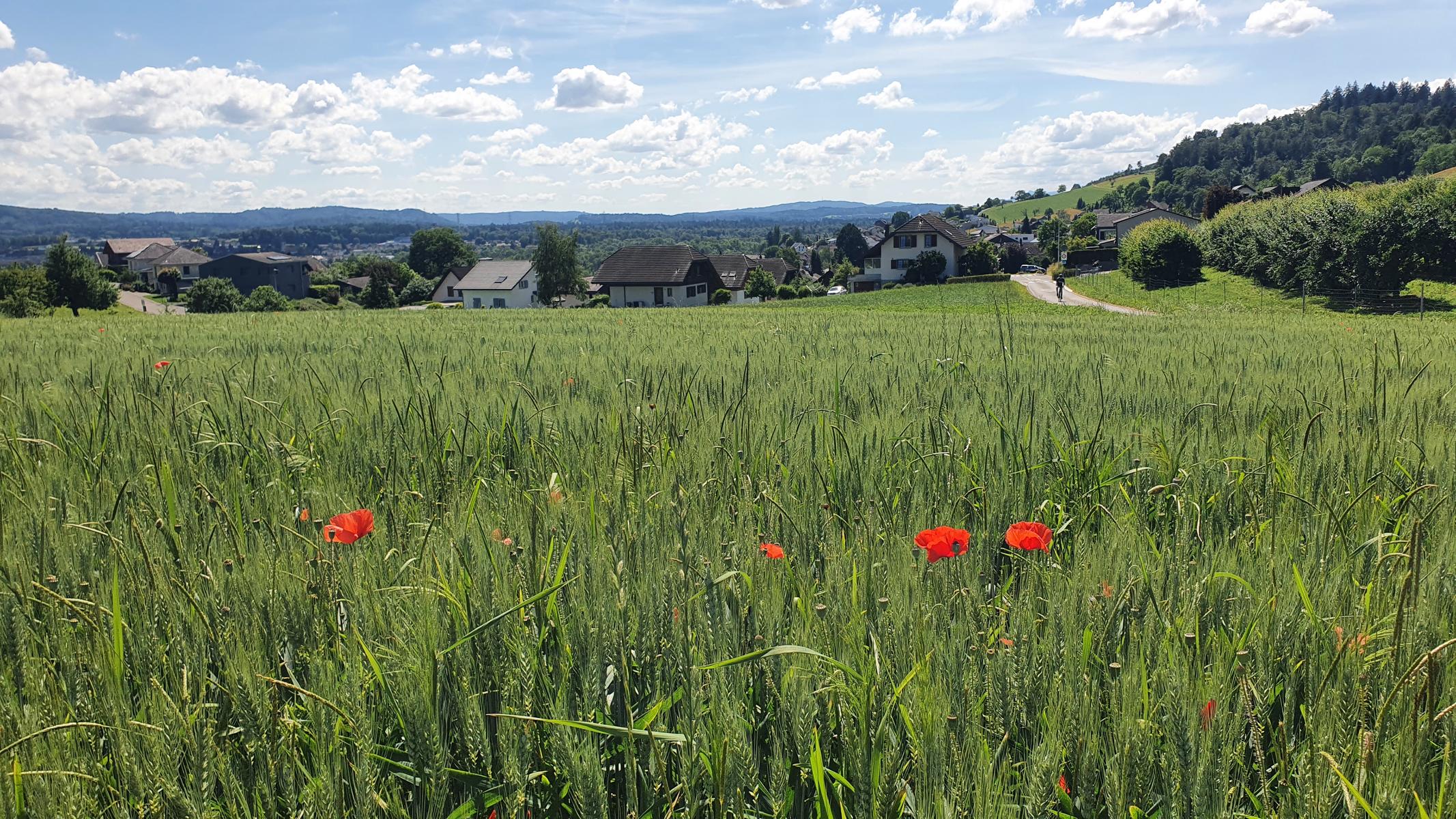 Aaretal auf und ab