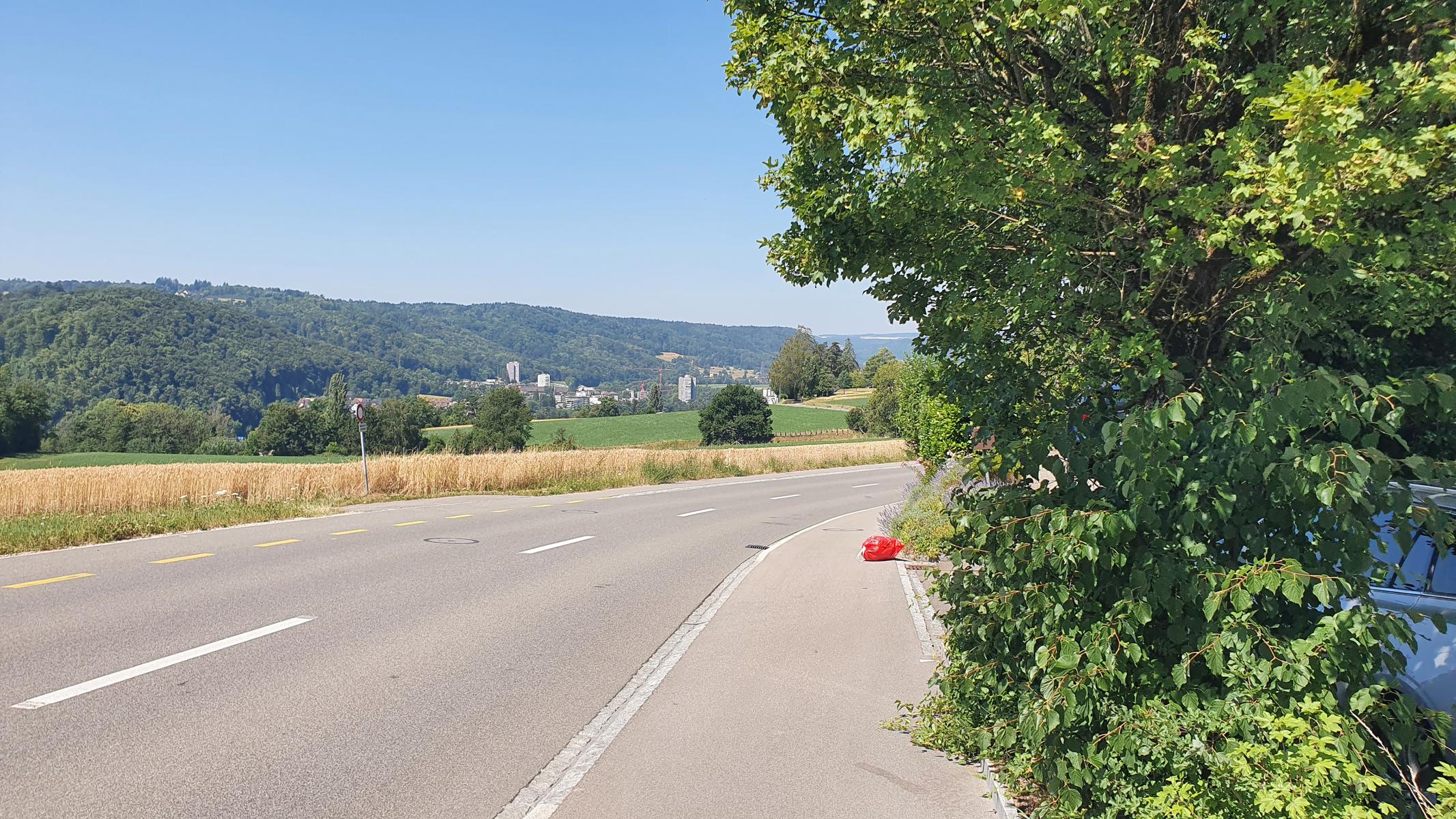 Blick ins Limmattal