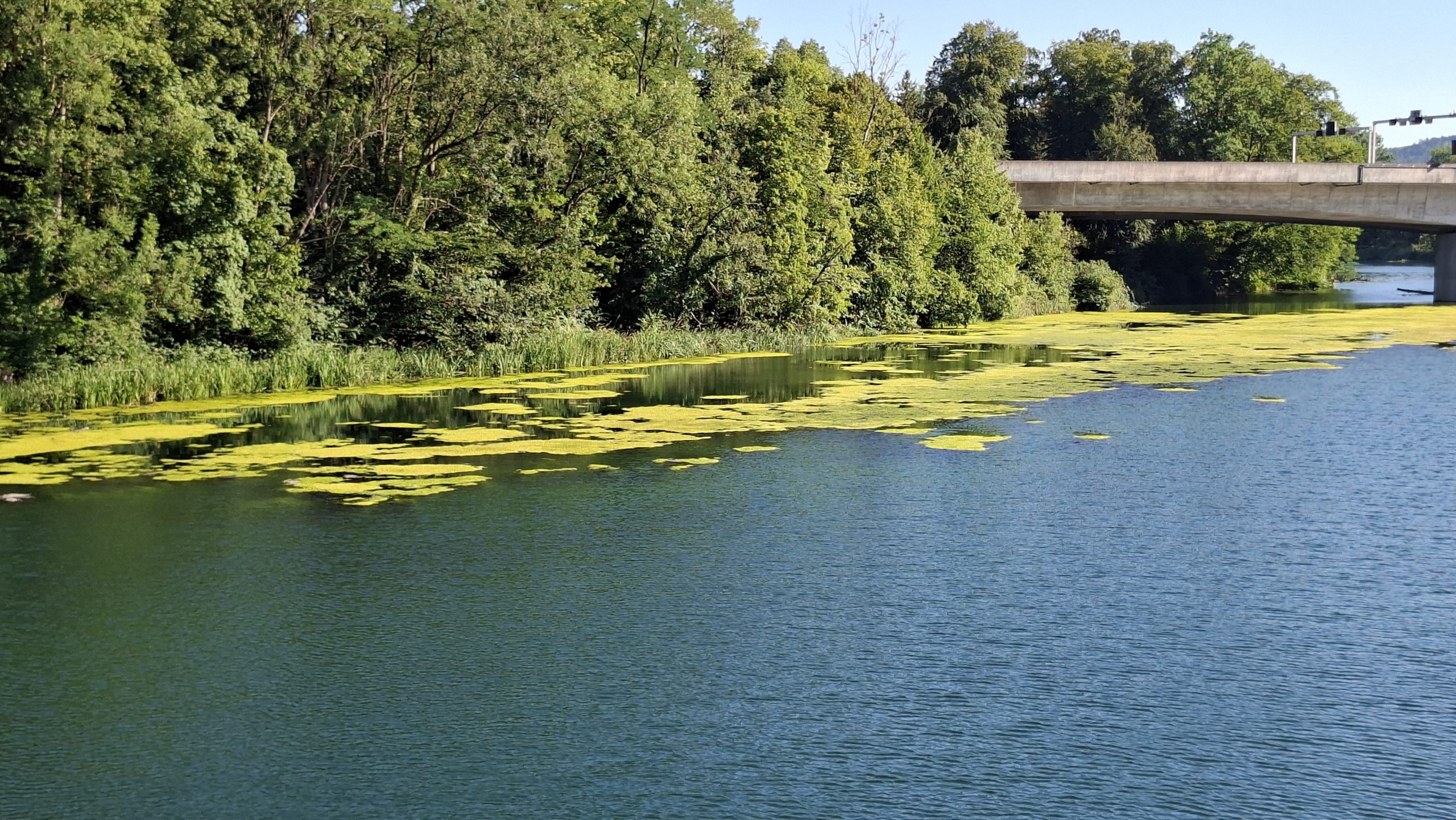 Aaretal-Villigerfeld