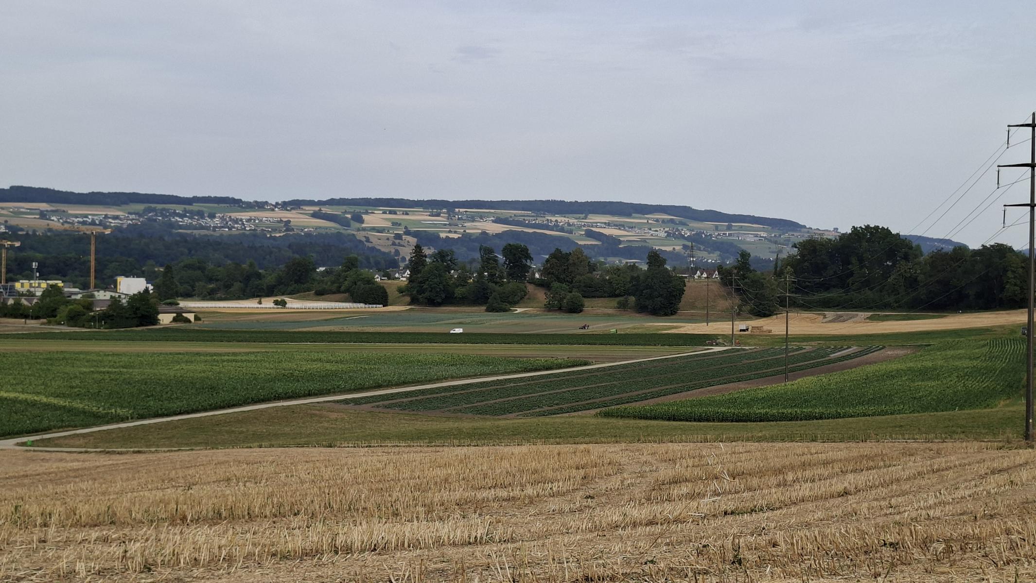 Reusstal auf und ab – Birrfeld