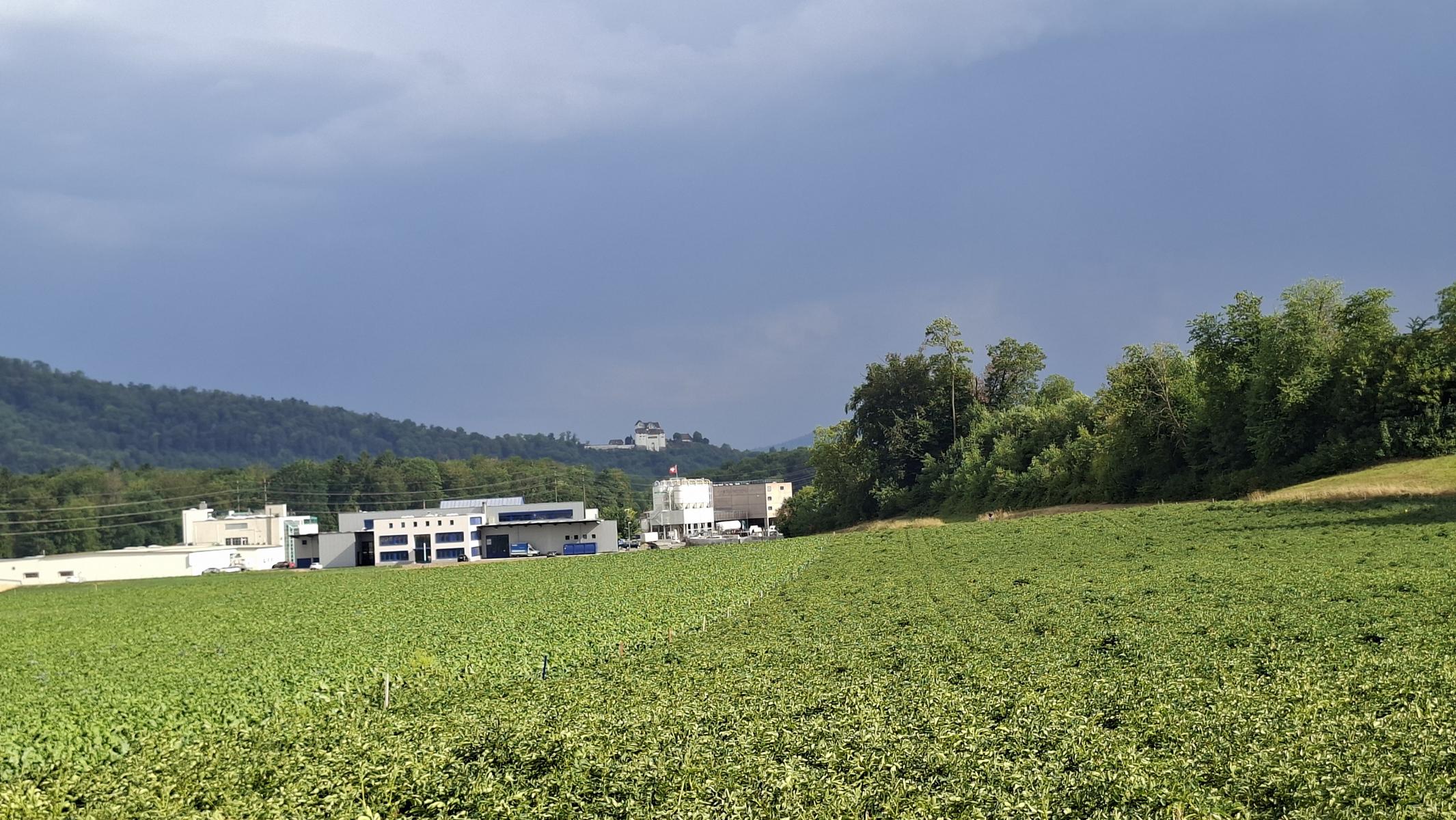 Bis zum Gewitter