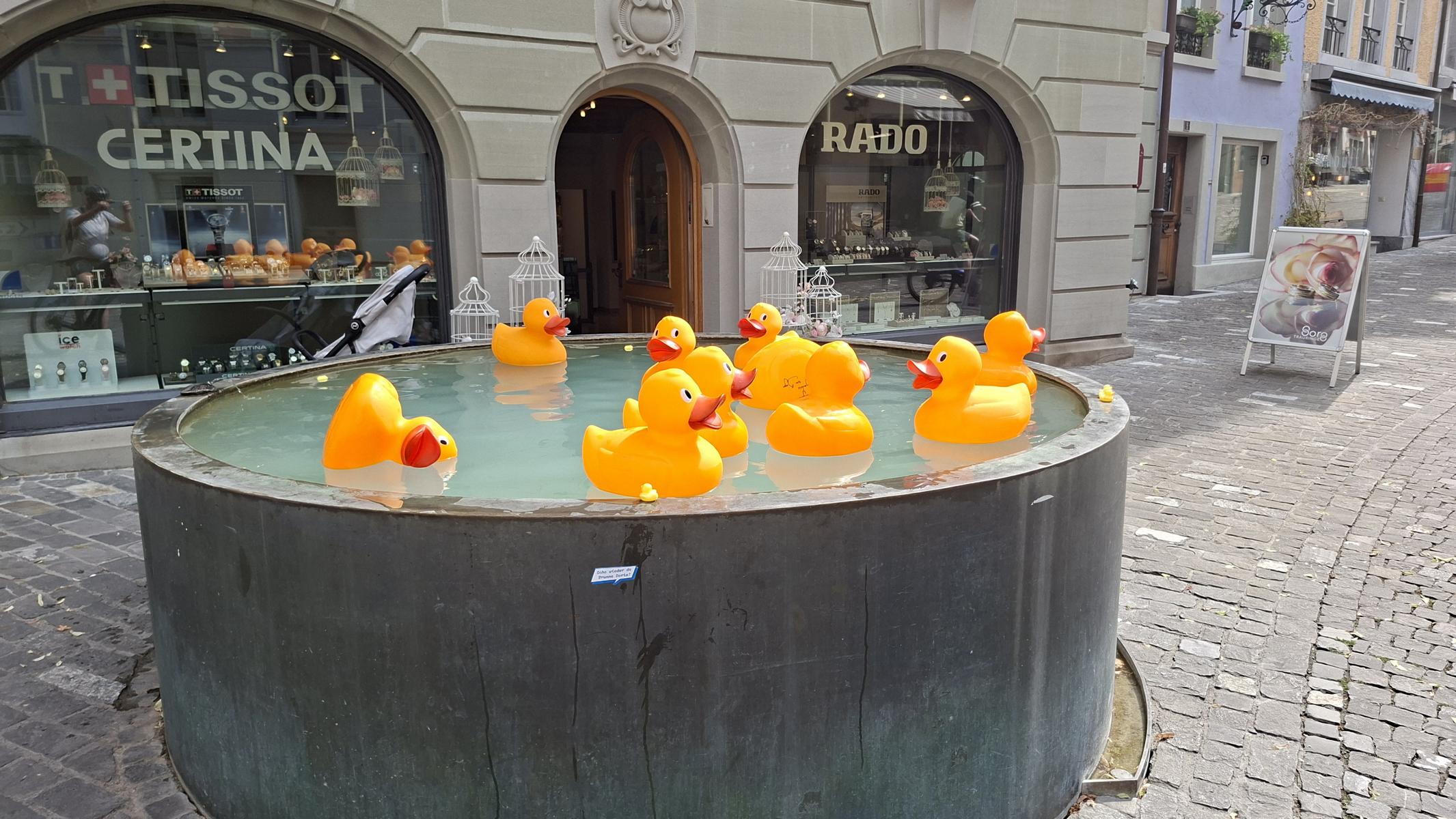 Zum Mittagessen nach Ottenbach