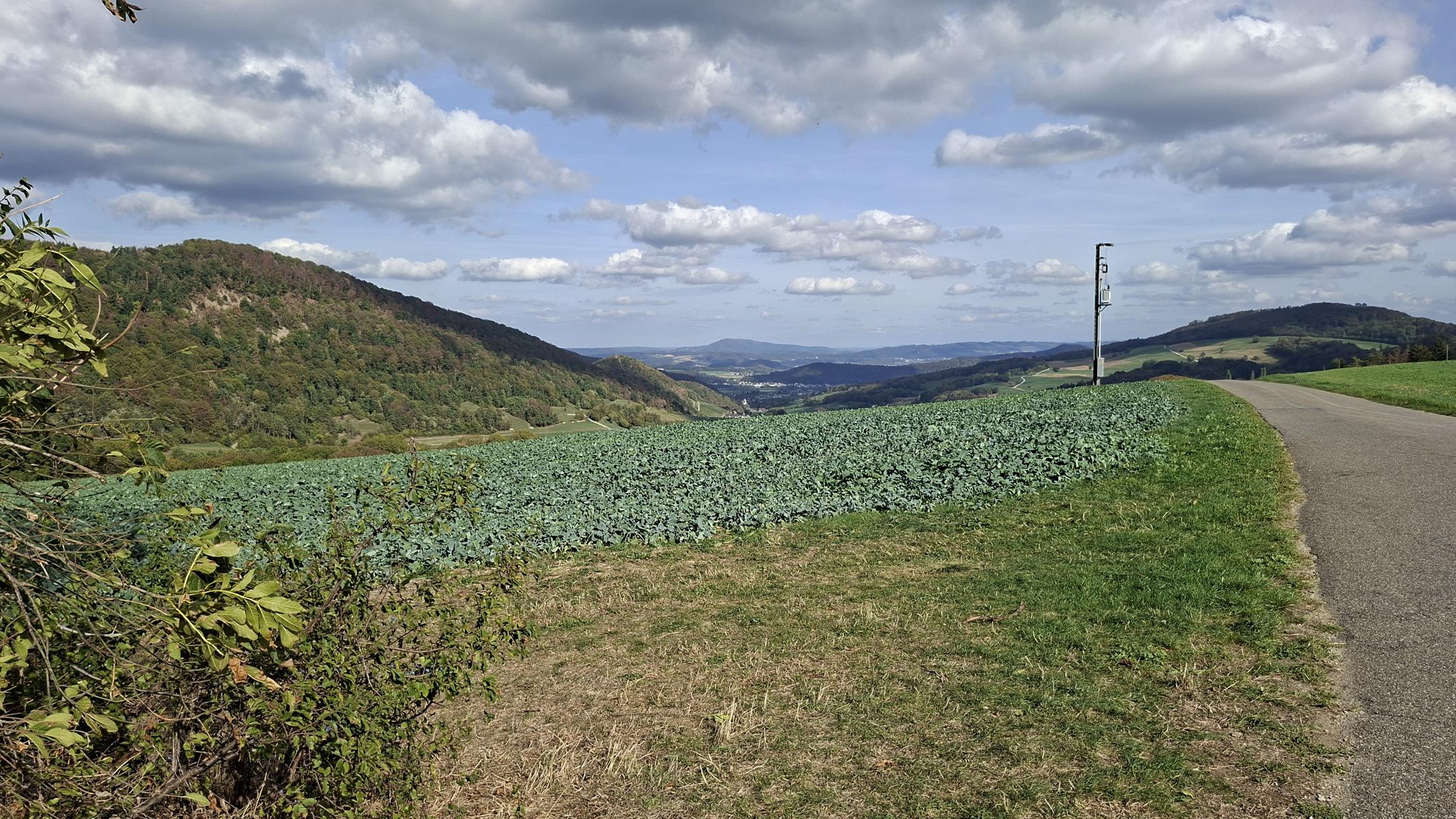 Blick durch das Schenkenbergertal ins Aaretal hinunterBlick durch das Schenkenbergertal ins Aaretal hinunter