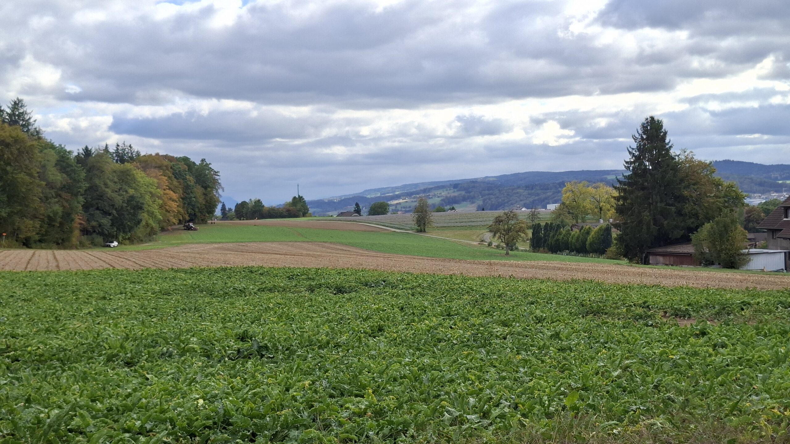 Blick ins Bünztal, oberhalb Wohlen