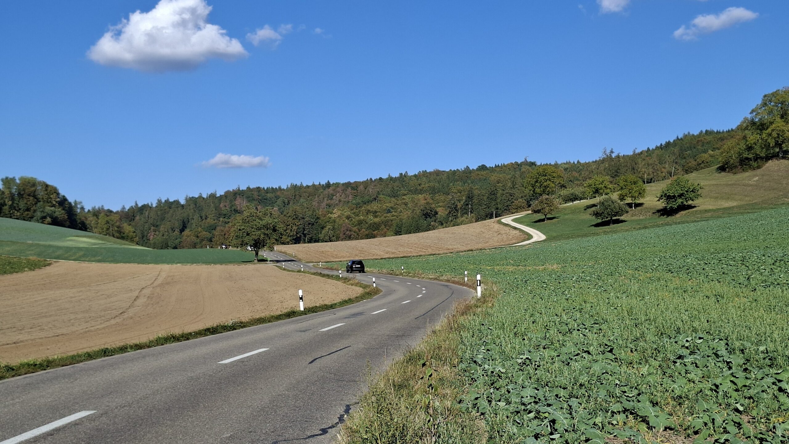 Zwischen Egliswil und Ammerswil