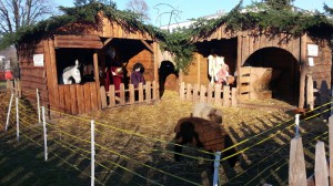 Doch noch fündig geworden