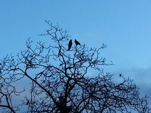 Sonntägliche Runde zwischen den Niederschlägen