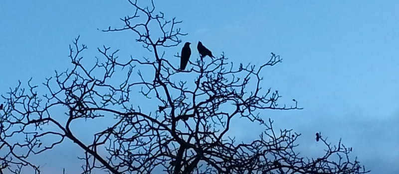 Sonntägliche Runde zwischen den Niederschlägen