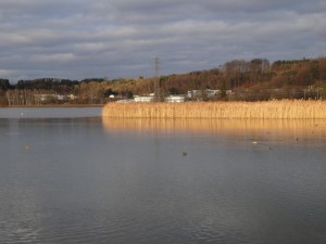 Wieder einmal am Klingnauer Stausee