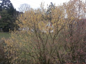 Wieder einmal eine Runde am Klignauer Stausee